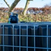 cuve-ibc-noir-avec-pompe-220V-1000L-renouvele-palette-acier-plastique-zijaanzicht-achteraanzicht-zonder-uitgaande-slang-in-tuinomgeving.webp